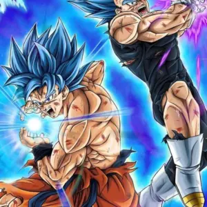 Goku & Vegeta